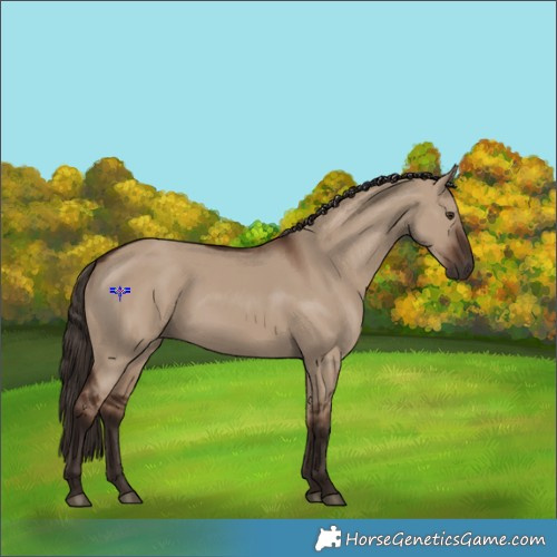 Horse Color:Liver Red Dun 
