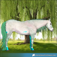 Horse Color:Platinum Watercolor Chocolate Brown Ice Onyx Rabicano 