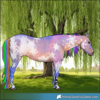 Horse Color:Painted Watercolor Chocolate Brown Ice Dun Tobiano Rabicano 