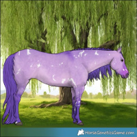 Horse Color:Watercolor White Spotted Brown Dun 