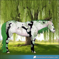 Horse Color:Watercolor Bay Ice Dun Tobiano Rabicano 