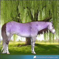 Horse Color:Platinum Chocolate Brown Ice Onyx 