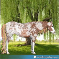 Horse Color:Painted Chestnut Ice Mushroom Splash 