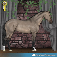 Horse Color:Brown Dun Rabicano 