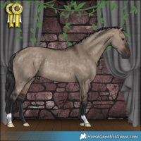 Horse Color:Brown Dun Rabicano 