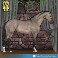 Horse Color:Brown Dun Rabicano
