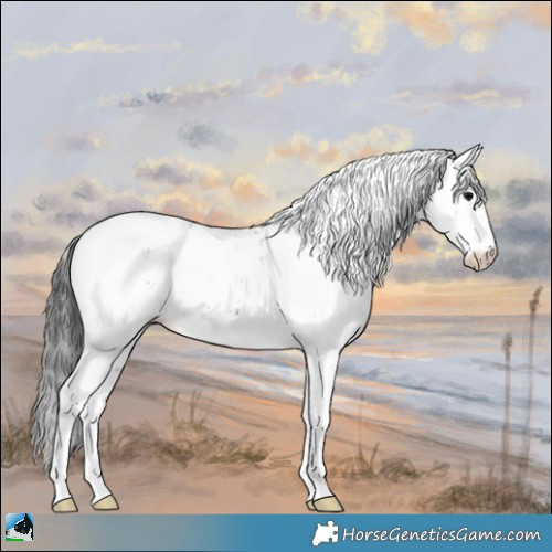 Horse Color:Black Ice Sabino Near Leopard 