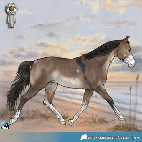 Horse Color:Bay Dun Sabino Rabicano 