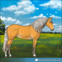 Horse Color:Silver Buckskin 