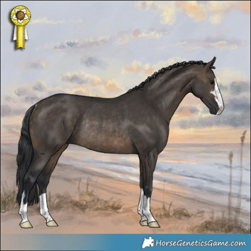 Horse Color:Brown Dun Rabicano 
