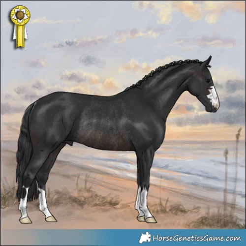 Horse Color:Brown Rabicano 