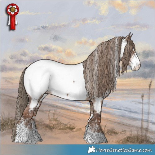 Horse Color:Liver Red Dun Sabino Appaloosa Rabicano 