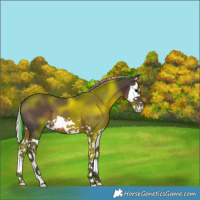 Horse Color:Painted Silver Black Splash 