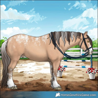 Horse Color:Powder White Amber Champagne