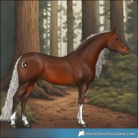 Horse Color:Silver Brown Tobiano 