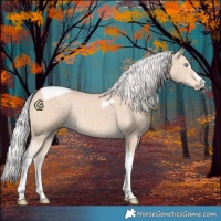 Horse Color:Silver Perlino Tobiano