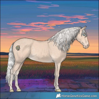 Horse Color:Silver Perlino 