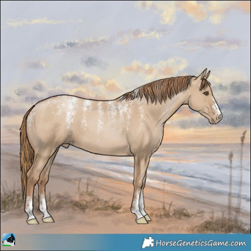 Horse Color:Powder White Grullo Pearl 