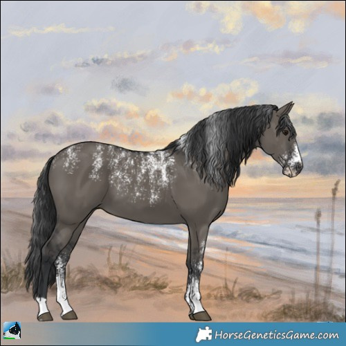 Horse Color:Powder White Grullo