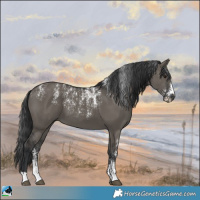 Horse Color:Powder White Grullo 
