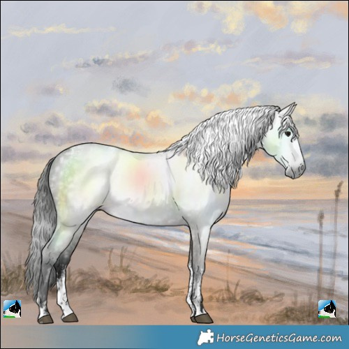 Horse Color:Powder White Gray Grullo 