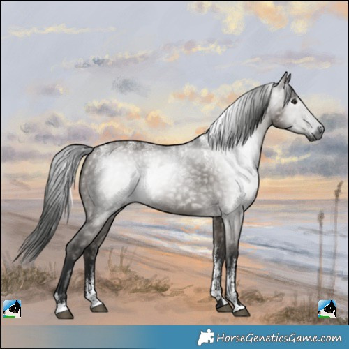 Horse Color:Powder White Gray Grullo 
