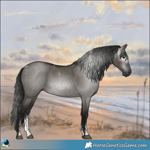 Horse Color:Powder White Gray Grullo
