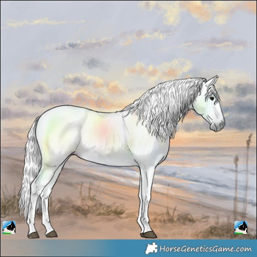 Horse Color:Powder White Gray Grullo 