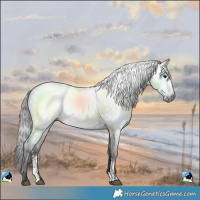 Horse Color:Powder White Gray Grullo 