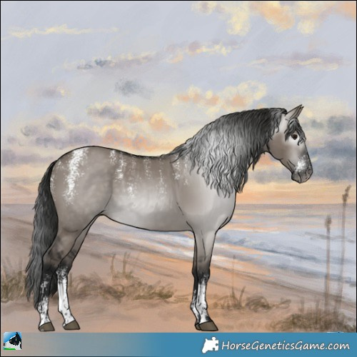 Horse Color:Powder White Gray Grullo