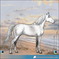 Horse Color:Powder White Gray Grullo