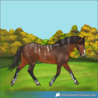 Horse Color:Powder White Bay 