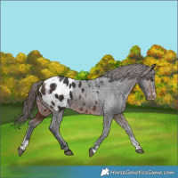 Horse Color:Powder White Brown Blanket