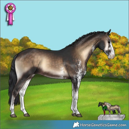 Horse Color:White Spotted Brown Onyx 