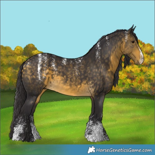 Horse Color:Powder White Buckskin 