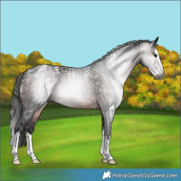 Horse Color:Powder White Gray Bay Splash