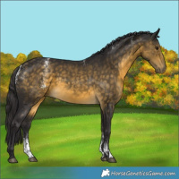 Horse Color:Powder White Buckskin 