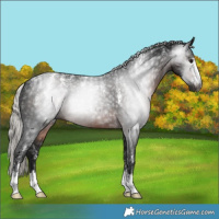 Horse Color:Powder White Gray Silver Brown 