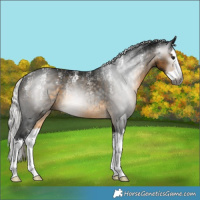Horse Color:Powder White Gray Silver Buckskin Splash Rabicano 