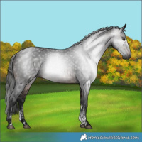 Horse Color:Powder White Gray Bay Rabicano 