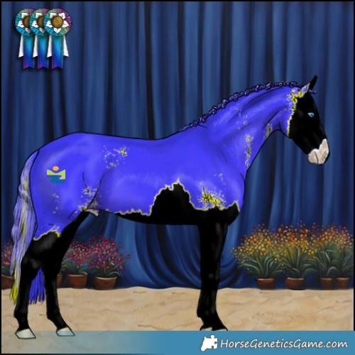 Horse Color:Watercolor Black Sabino Splash 
