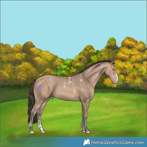 Horse Color:Powder White Sable Champagne Sabino 