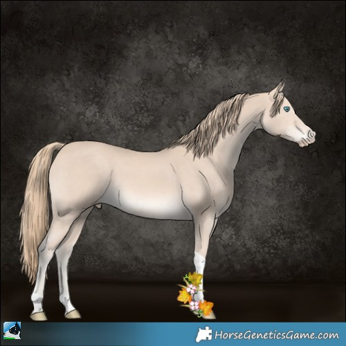 Horse Color:Perlino Tobiano 