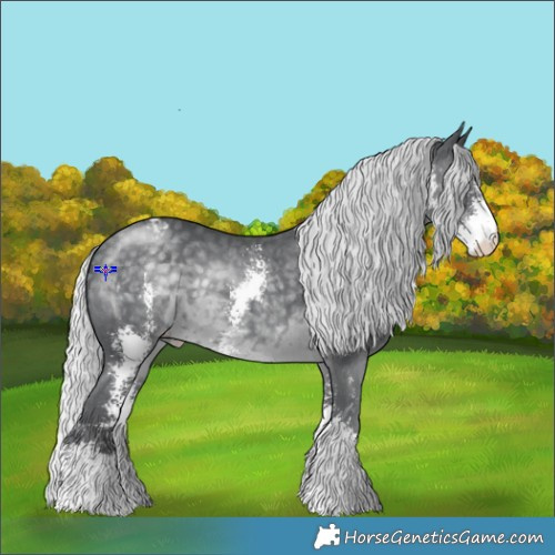 Horse Color:Silver Black Chinchilla Sabino Varnish 