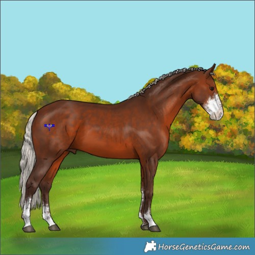 Horse Color:Silver Brown Sabino 