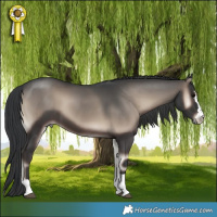 Horse Color:Blue Onyx Rabicano 