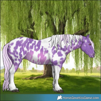 Horse Color:Watercolor Chocolate Palomino Tobiano Near Leopard 