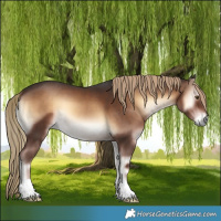 Horse Color:Liver Red Onyx 