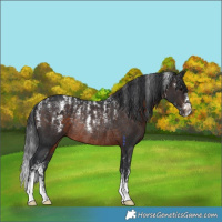 Horse Color:Powder White Brown Rabicano 