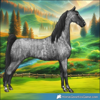 Horse Color:Blue Roan  and Blue Roan 
